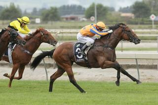 Heroic Valour victorious in the Listed Reid & Harrison (1980) Limited Slipper. Photo Credit: Trish Dunell.